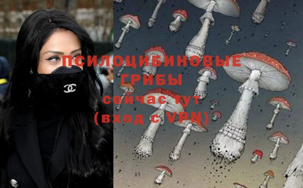 наркотики Заводоуковск