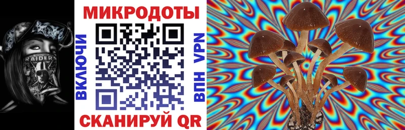 Галлюциногенные грибы мухоморы  как найти   Норильск 